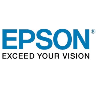 Epson Etiketten für GP-C831, Kunststoff, 203 x 305mm