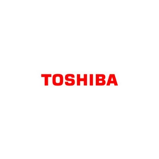 IBM / Toshiba VESA Adapter Kit