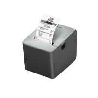 Epson TM-L100 USB, Lightning, LAN, RS-23 gallery